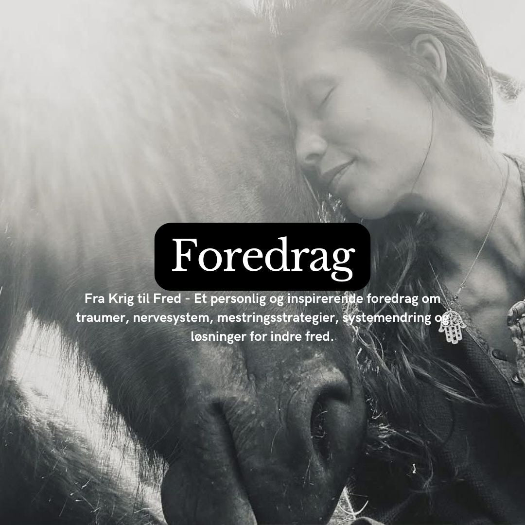 Foredrag