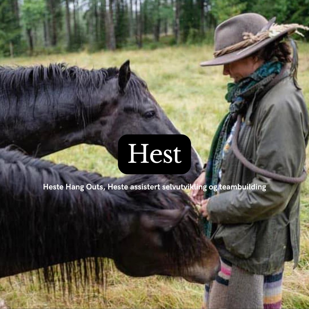 Hest