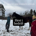 Hest i bedrift