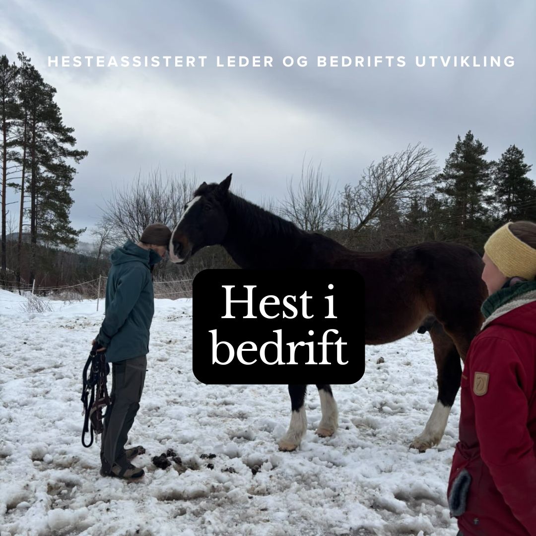 Hest i bedrift