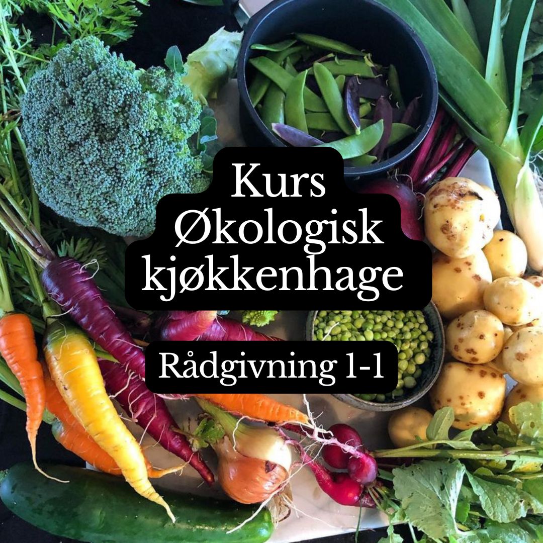 Kurs i Økologisk Kjøkkenhage