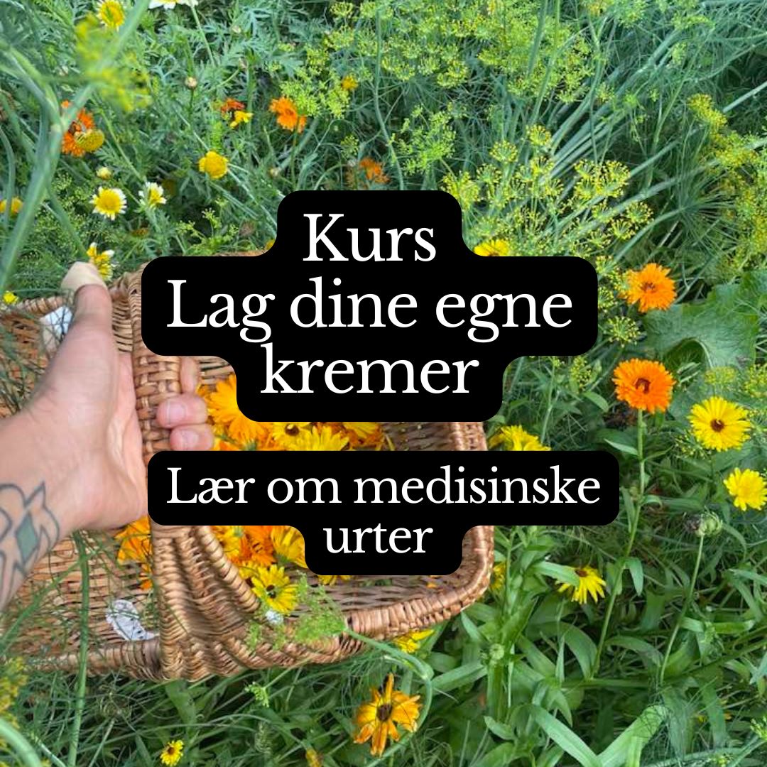 Kurs i økologisk hudpleie og medisinske urter