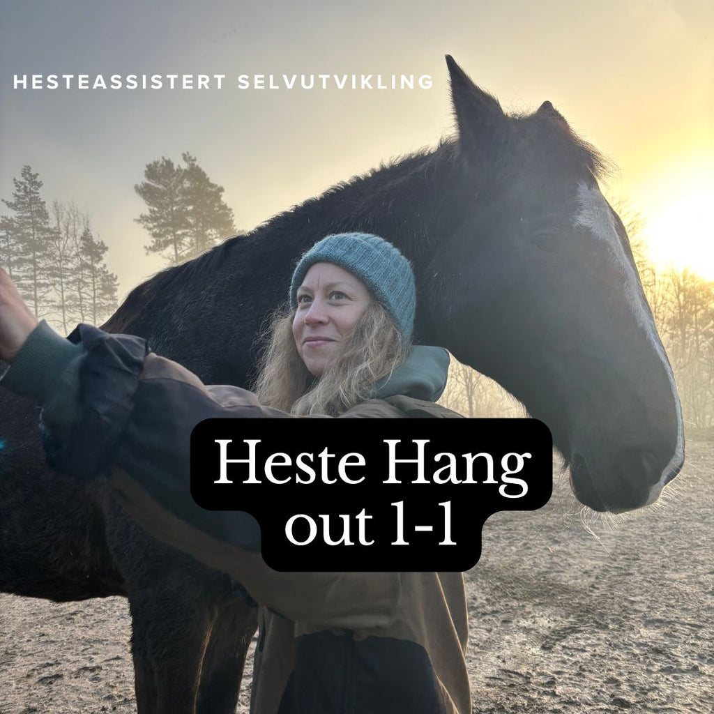 Heste Hang Out