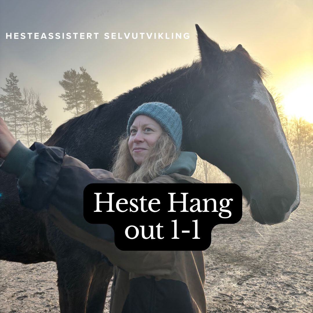 Heste Hang Out