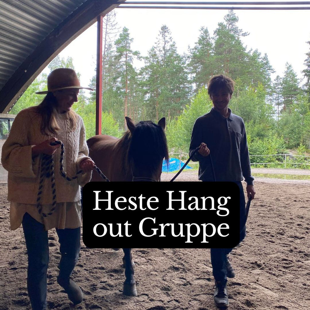 Gruppe Heste Hang Out