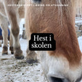 Hest i Skolen