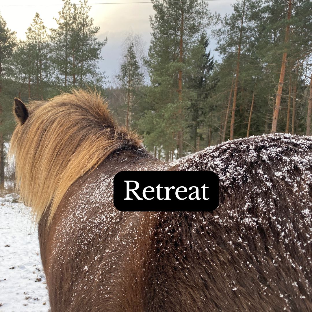 Retreat - Healing Arts and Horses