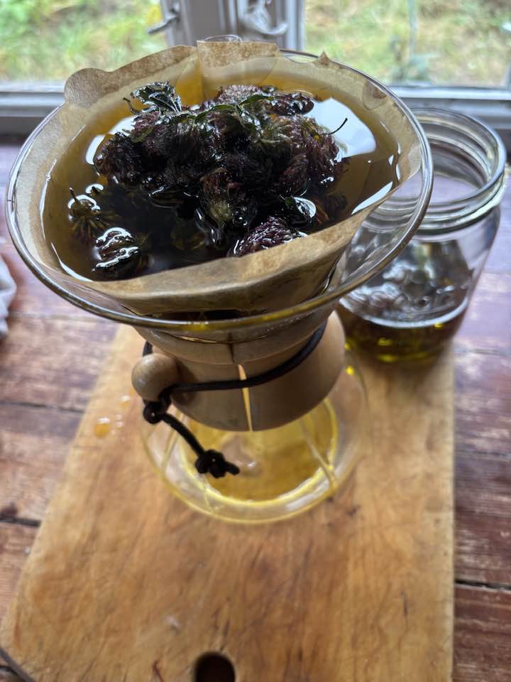 Kurs i økologisk hudpleie og medisinske urter