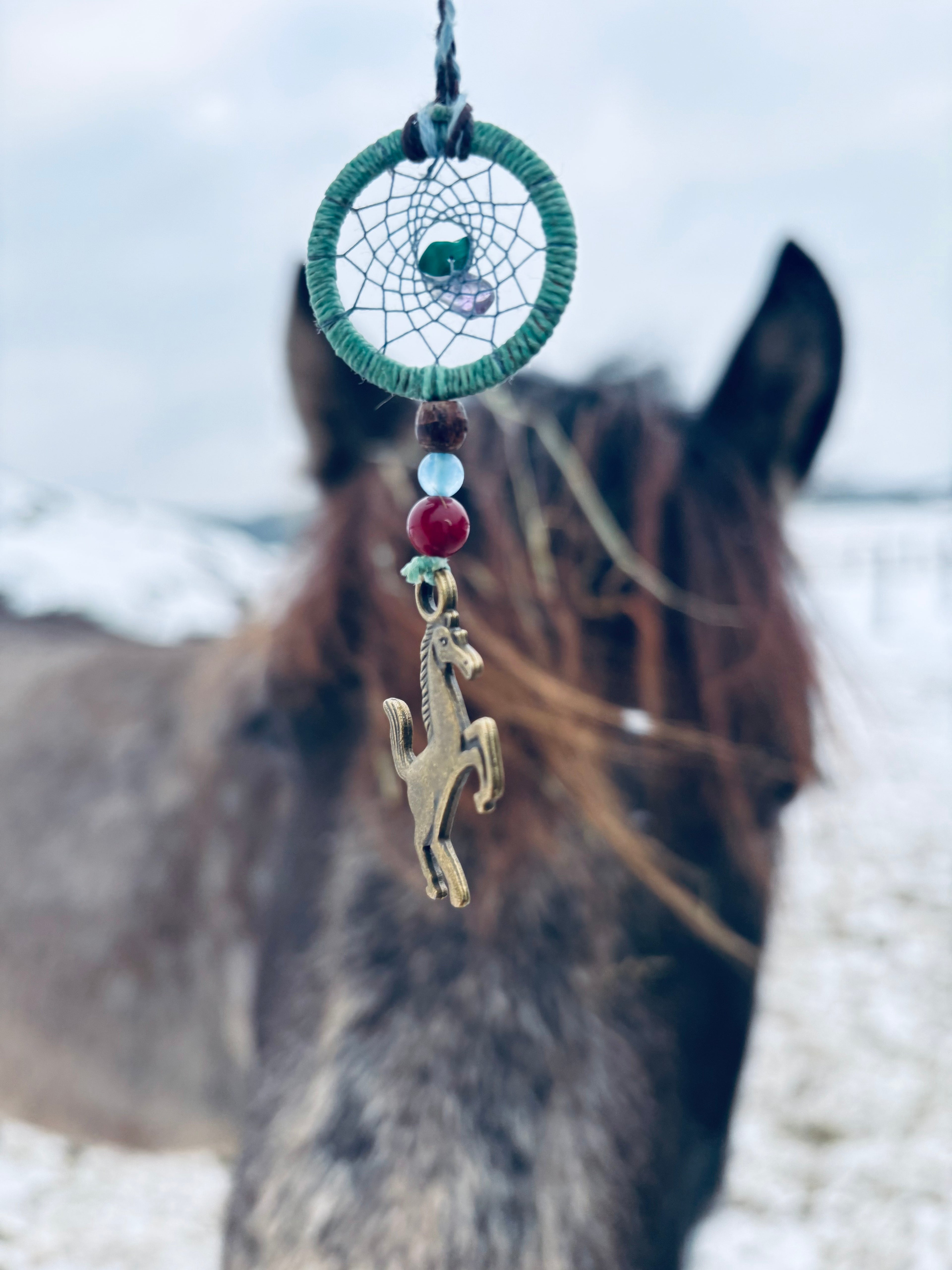 Drømmekompass for Hestens år