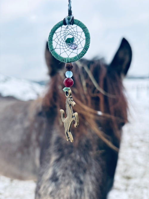 Drømmekompass for Hestens år