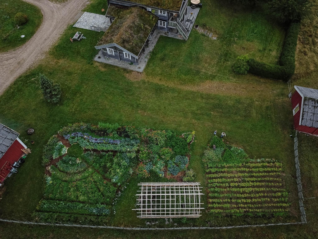 Kurs i Økologisk Kjøkkenhage