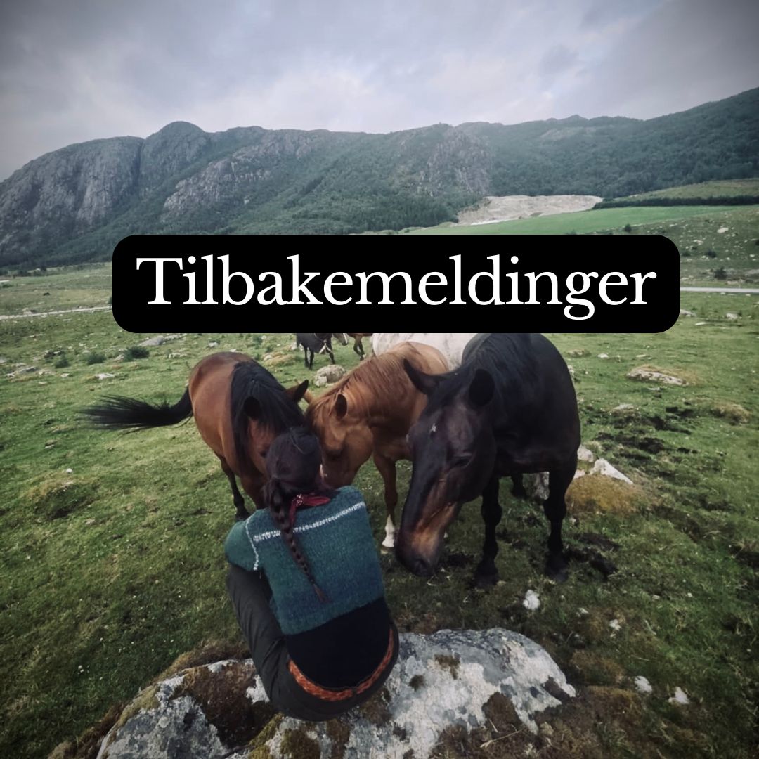 Tilbakemelding